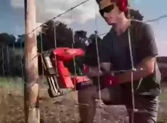 Fencing Gun Staples